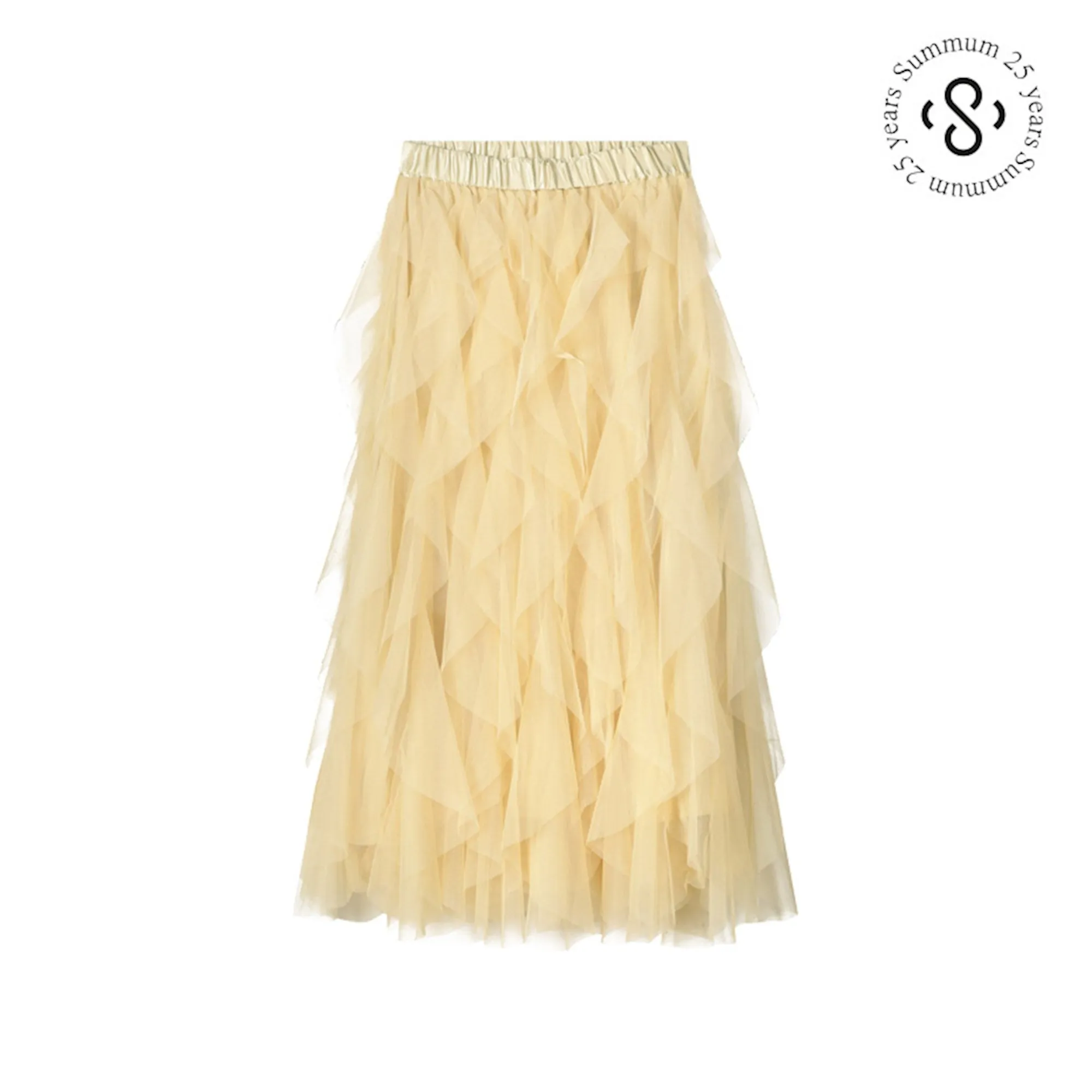 Pleated Tulle Skirt